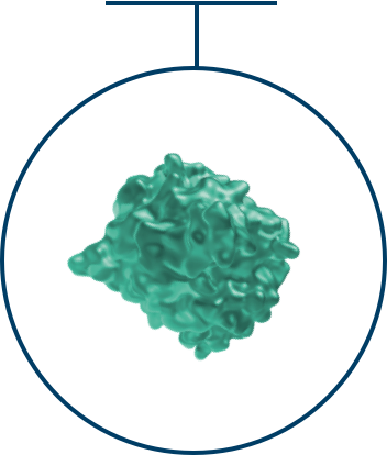 Green CXCL9 molecule