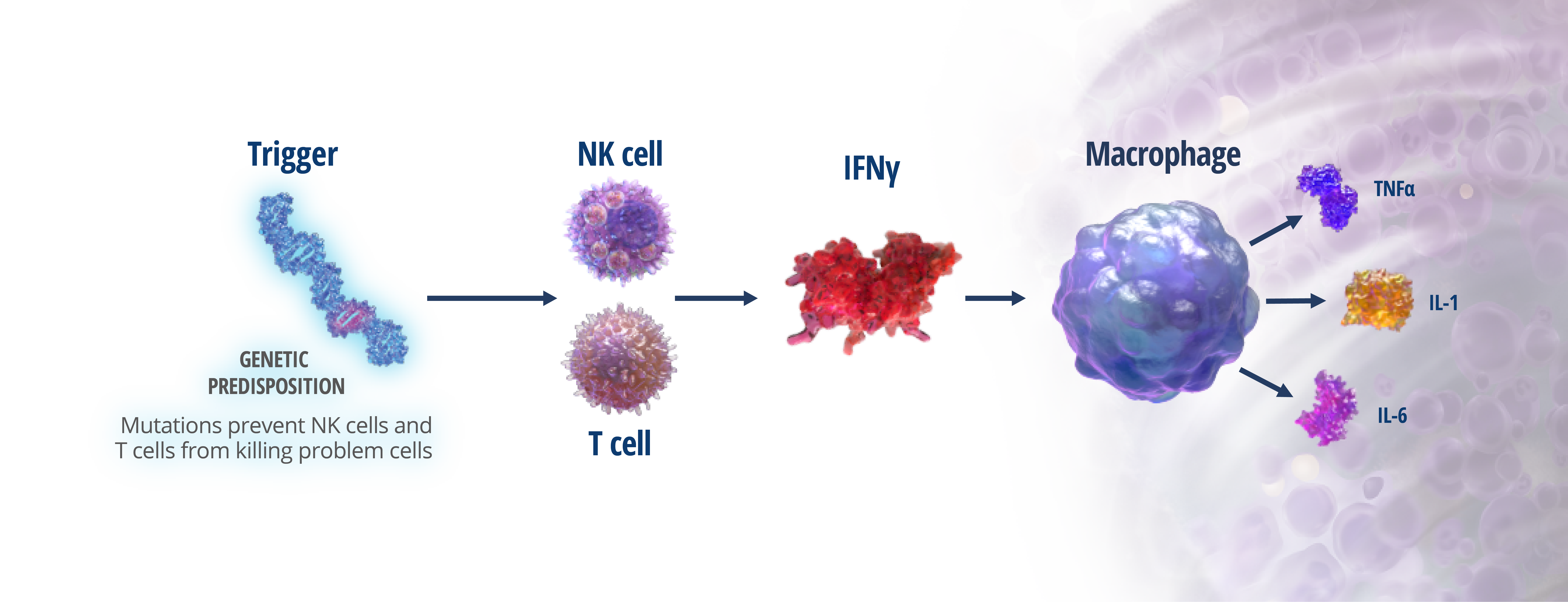 IFNγ in Primary HLH | Gamifant® (emapalumab-lzsg)